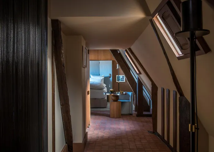 Hotel Cour Des Vosges - Evok Collection Parigi